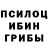 Псилоцибиновые грибы прущие грибы Dante Rosales