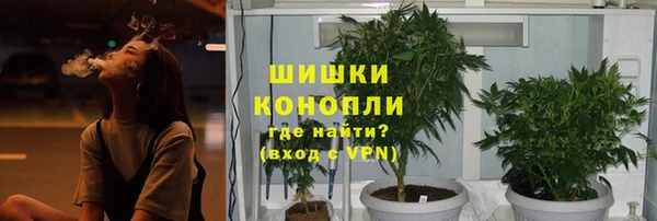 мескалин Богданович