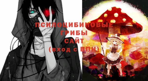 mdpv Белокуриха