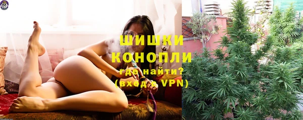спиды Богородск