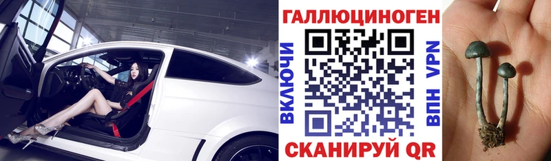 что такое наркотик  Колпашево  Псилоцибиновые грибы MAGIC MUSHROOMS 